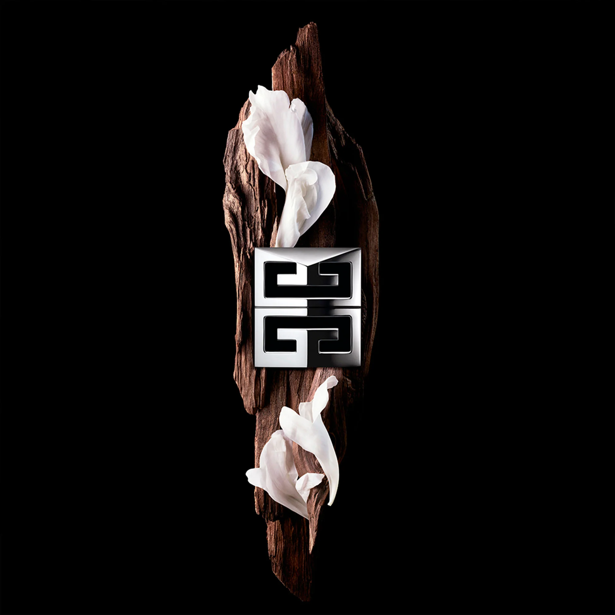 GENTLEMAN SOCIETY - Image 10