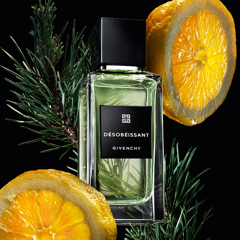 DESOBEISSANT - Image 3