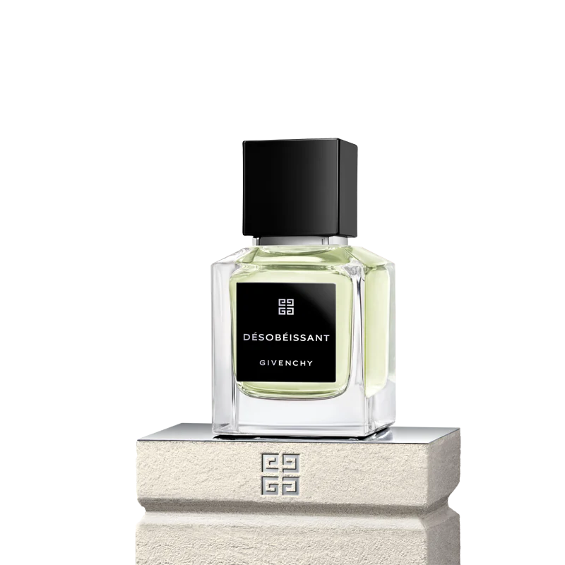 DESOBEISSANT - Image 5