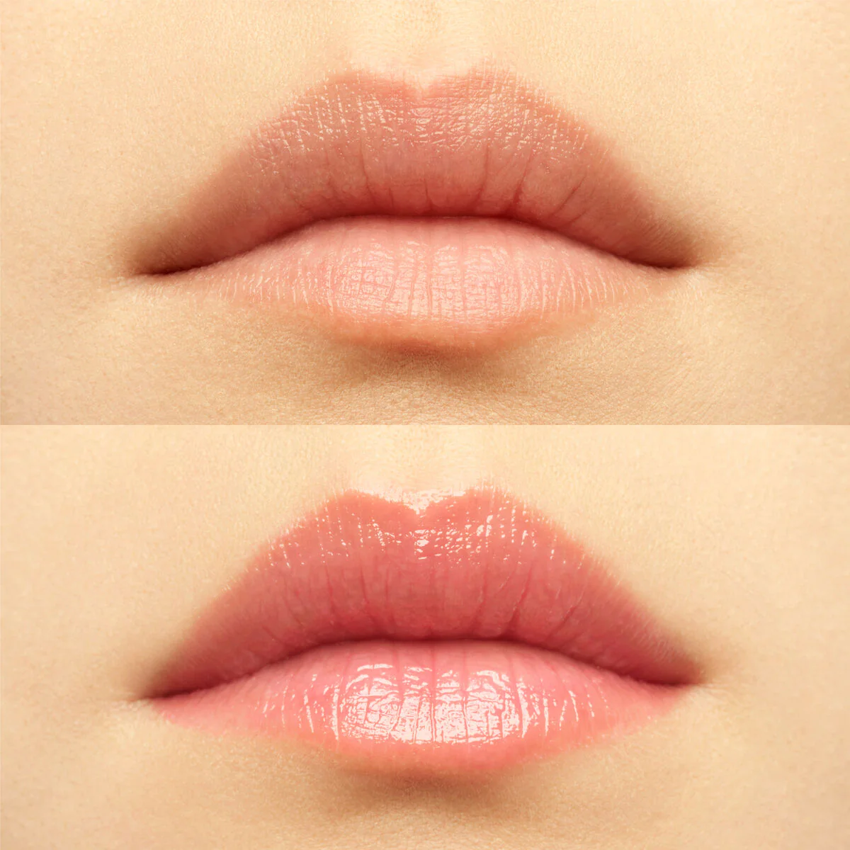 ROSE PERFECTO - Image 3