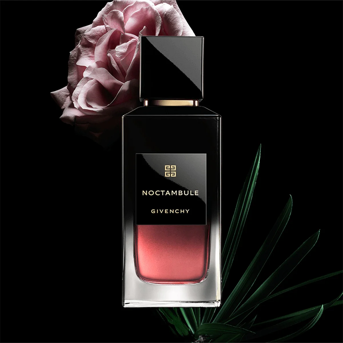 NOCTAMBULE - Image 2